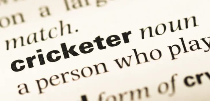 Best Cricket Literature: Books and Biographies