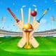 Cricket Trophies and Awards: Significance and History