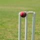 How Long is a Cricket Wicket?
