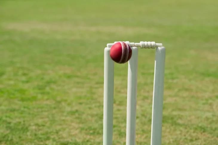 How Long is a Cricket Wicket?