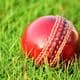 How Much Does a cricket ball weigh?