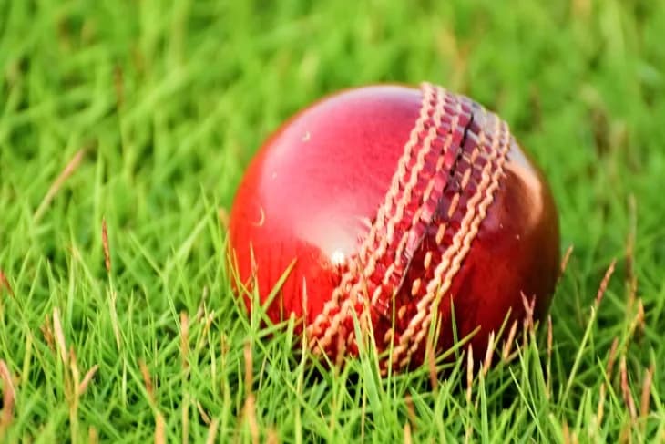 How Much Does a cricket ball weigh?