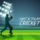 How to Play Cricket?