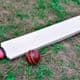 How to Repair a Cricket Bat?