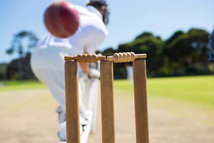 The 2025 English Cricket Summer Begins