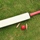 What are Cricket Bats Made Of?
