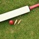 What Cricket Bat Should I Get?