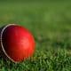What is a Cricket Ball Made Of?