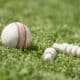 What is White Ball Cricket?